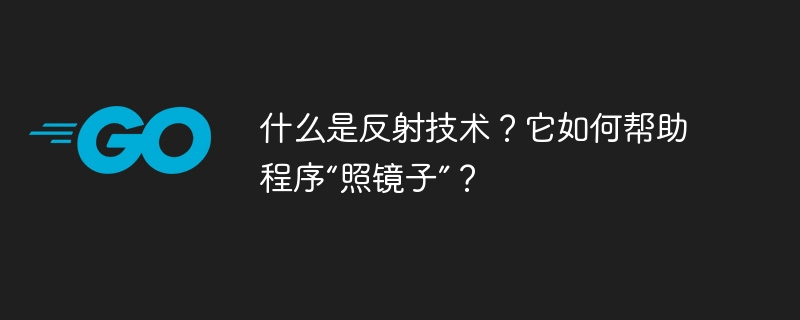 什么是反射技术？它如何帮助程序“照镜子”？