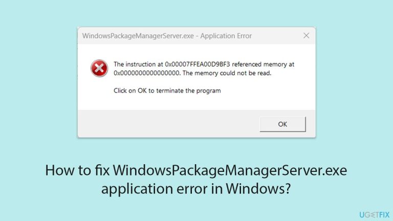 How to fix WindowsPackageManagerServer.exe application error in Windows?