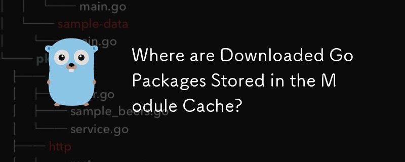 下載的 Go 包儲存在模組快取中的什麼位置？