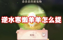 逆水寒懒羊羊怎么捉