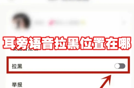 耳旁语音拉黑位置在哪