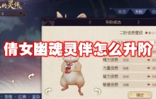 倩女幽魂灵伴怎么升阶