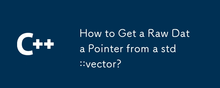 How to Get a Raw Data Pointer from a std::vector?