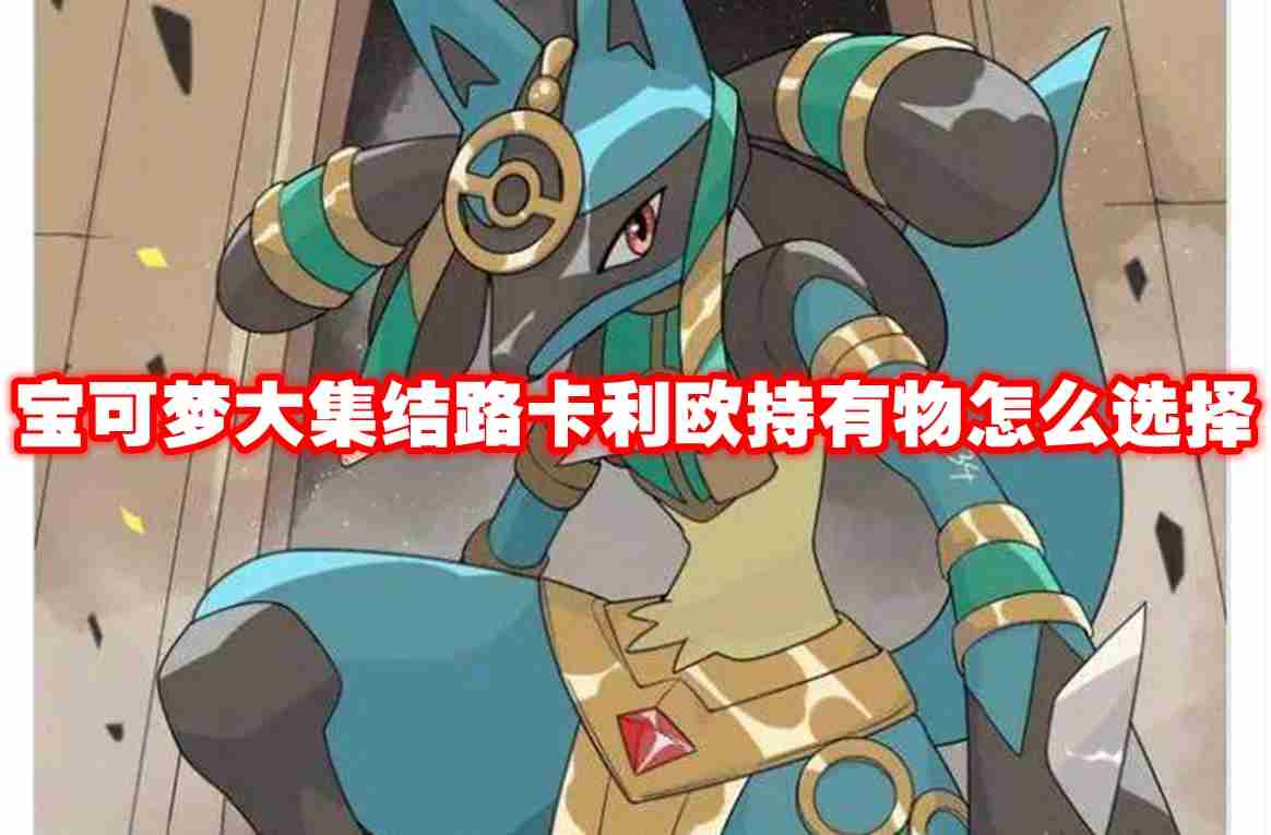 宝可梦大集结路卡利欧持有物怎么选择