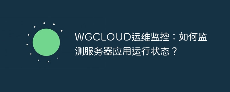 WGCLOUD運維監控：如何監測服務器應用運行狀態？