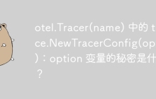otel.Tracer(name) 中的 trace.NewTracerConfig(opts...)：option 变量的秘密是什么？