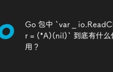 Go 包中 `var _ io.ReadCloser = (*A)(nil)` 到底有什么作用？