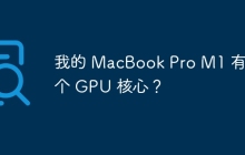 我的 MacBook Pro M1 有几个 GPU 核心？