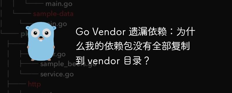 go vendor 遗漏依赖：为什么我的依赖包没有全部复制到 vendor 目录？