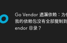 Go Vendor 遗漏依赖：为什么我的依赖包没有全部复制到 vendor 目录？