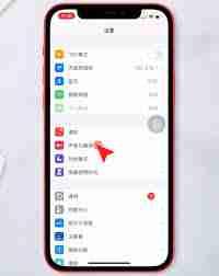 苹果手机在哪取消震动