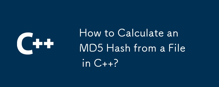 C でファイルから MD5 ハッシュを計算するにはどうすればよいですか?