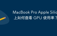 MacBook Pro Apple Silicon 上如何查看 GPU 使用率？