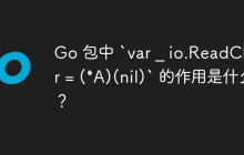 Go 包中 `var _ io.ReadCloser = (*A)(nil)` 的作用是什么？