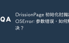 DrissionPage 初始化时抛出 OSError: 参数错误，如何解决？