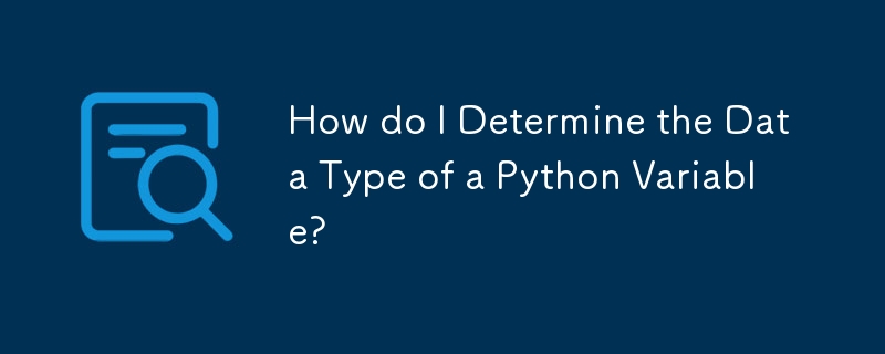 Wie bestimme ich den Datentyp einer Python-Variablen?