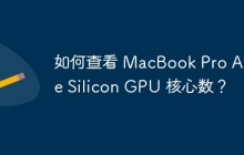 如何查看 MacBook Pro Apple Silicon GPU 核心数？
