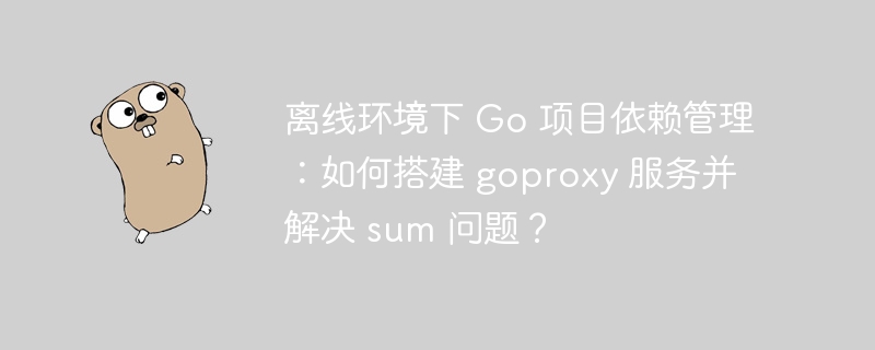 离线环境下 go 项目依赖管理：如何搭建 goproxy 服务并解决 sum 问题？