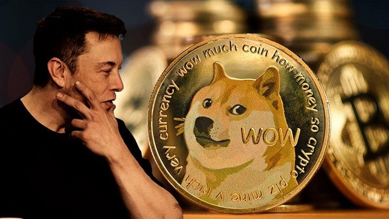 Dogecoin (DOGE) Surges 48% in 24 Hours Following Cryptic Endorsement from Elon Musk