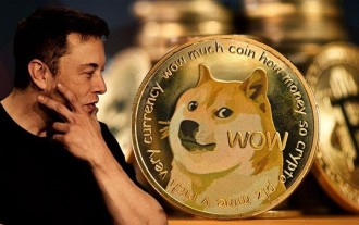 埃隆·马斯克神秘背书后,狗狗币 (DOGE) 在 24 小时内飙升 48%