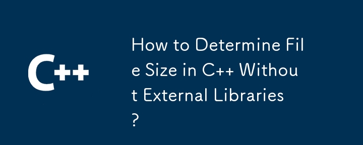 如何在没有外部库的情况下确定 C 中的文件大小？