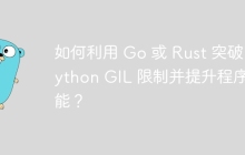 如何利用 Go 或 Rust 突破 Python GIL 限制并提升程序性能？