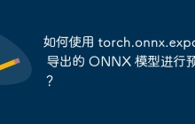 如何使用 torch.onnx.export 导出的 ONNX 模型进行预测？