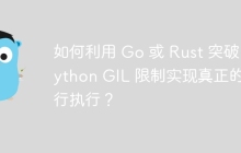如何利用 Go 或 Rust 突破 Python GIL 限制实现真正的并行执行？