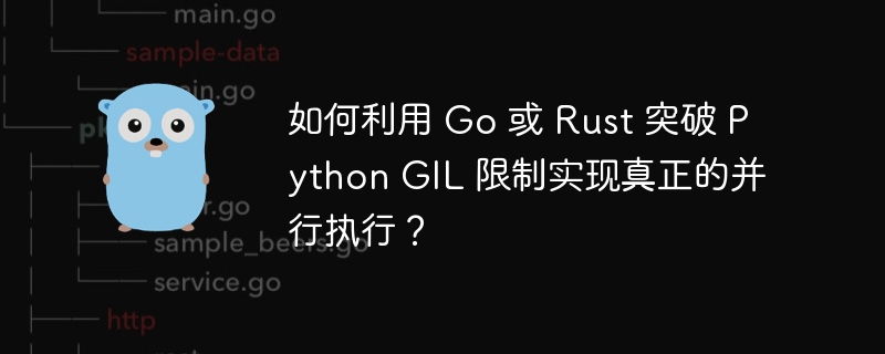 如何利用 go 或 rust 突破 python gil 限制实现真正的并行执行？