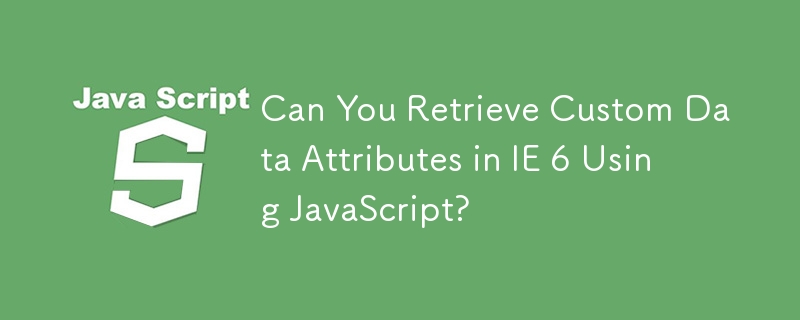 您可以使用 JavaScript 检索 IE 6 中的自定义数据属性吗？