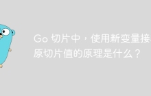 Go 切片中，使用新变量接收原切片值的原理是什么？