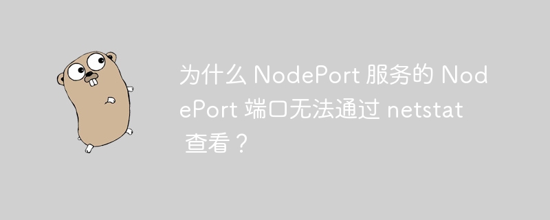 为什么 nodeport 服务的 nodeport 端口无法通过 netstat 查看？