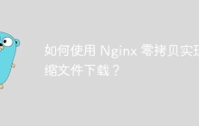 如何使用 Nginx 零拷贝实现压缩文件下载？