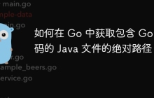 如何在 Go 中获取包含 Go 代码的 Java 文件的绝对路径？