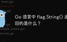 Go 语言中 flag.String() 返回的是什么？