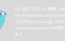 Go 运行 SQLite 报错：pkg\mod\modernc.org\sqlite@v1.23.0\lib\mutex.go:239:46: too many errors 如何解决？