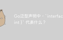 Go泛型声明中，`interface{ *int }` 代表什么？