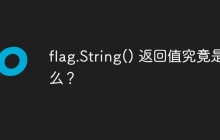 flag.String() 返回值究竟是什么？