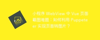 小程序 WebView 中 Vue 页面截图难题：如何利用 Puppeteer 实现页面转图片？