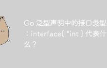Go 泛型声明中的接口类型疑问：interface{ *int } 代表什么？