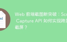 Web 前端截图新突破：Screen Capture API 如何实现跨界截屏？