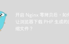 开启 Nginx 零拷贝后，如何让浏览器下载 PHP 生成的压缩文件？