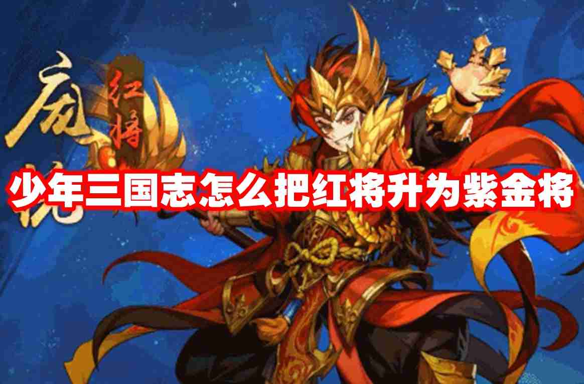 少年三国志怎么把红将升为紫金将
