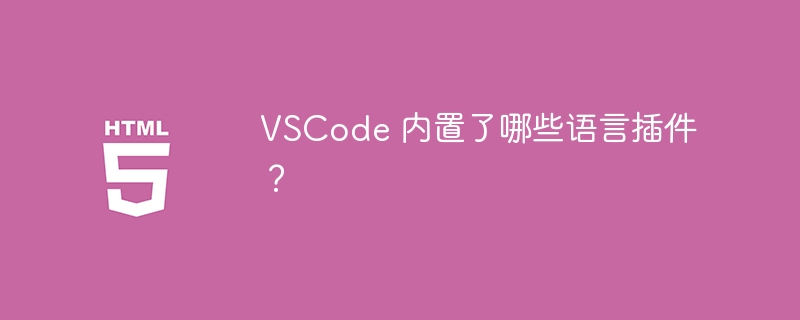 VSCode 内置了哪些语言插件?