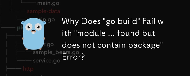 為什麼'go build”失敗並出現'模組...已找到但不包含包”錯誤？