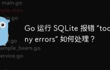 Go 运行 SQLite 报错 “too many errors” 如何处理？
