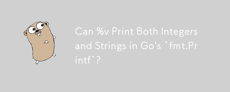 %v 可以在 Go 的 `fmt.Printf` 中打印整数和字符串吗？