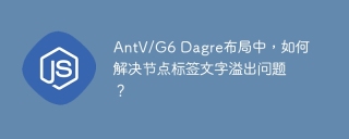 antv/g6 dagre布局中，如何解决节点标签文字溢出问题？