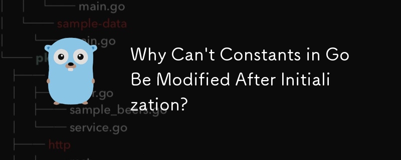 Why Can't Constants in Go Be Modified After Initialization?