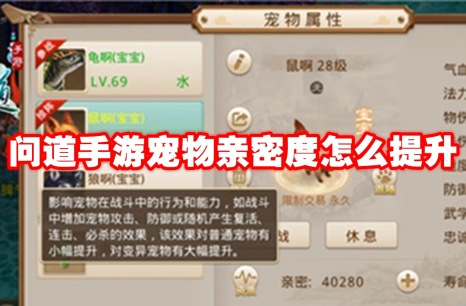 问道手游宠物亲密度怎么提升